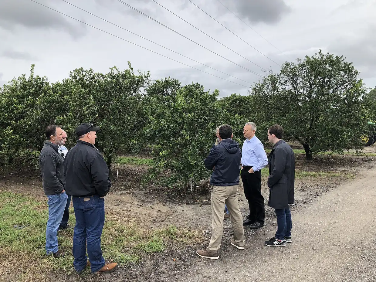 A Beck Brothers Citrus grove in Horizon West during a U.S. Department of Agriculture visit